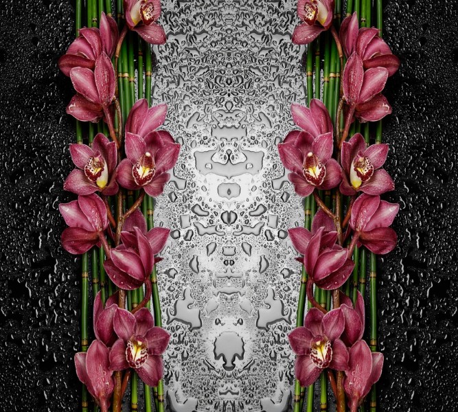 3D фотообои Фотошторы «Орхидеи в росе» вид 1
