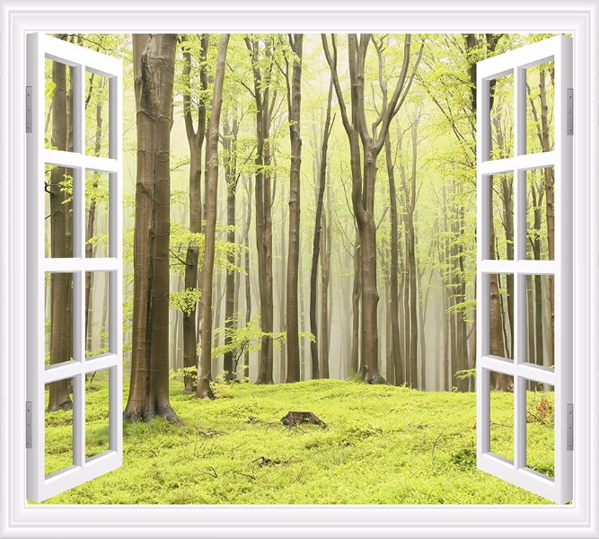 3D фотообои Фотошторы «Окно с видом на зеленый лес» вид 1