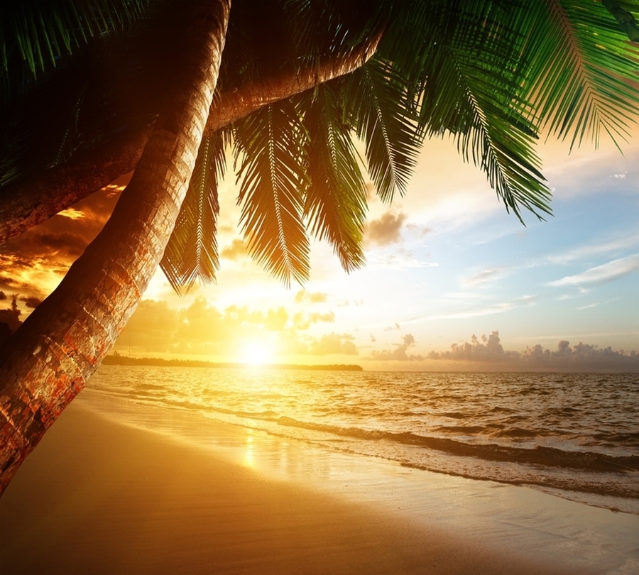 3D фотообои Фотошторы «Закат под пальмами» вид 1