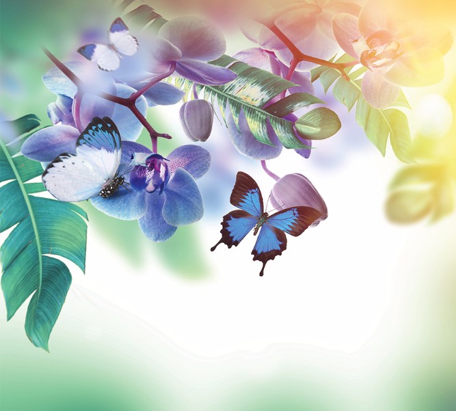 3D фотообои Фотошторы «Бабочки под орхидеей» вид 1