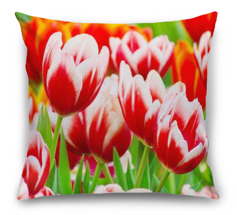 3D Подушка «Красивые тюльпаны» вид 7