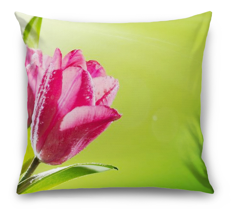 3D Подушка «Тюльпаны на зеленом фоне» вид 7