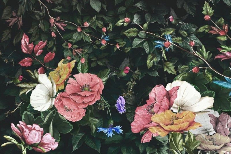 3D фотообои Фотообои «Колибри в цветущем саду» вид 1