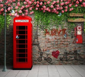Шторы для ванной «Телефонная будка с граффити»