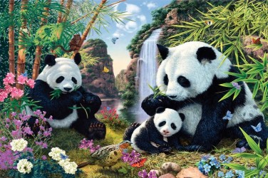 5D картина «Семейство панд»