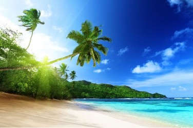 5D картина «Пальма на пляже»