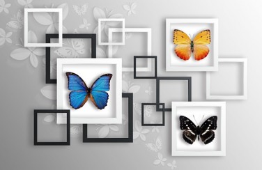 3D Ковер «Коллекция бабочек»   