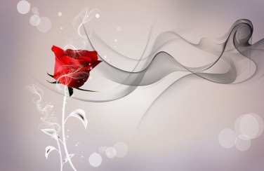 3D Ковер «Красная роза на сером фоне»