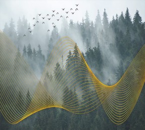 Фотошторы «Туман над лесом»