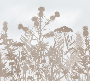 Фотошторы «Светлые полевые растения в тёплых тонах»