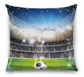 3D Подушка «Стадион в Бразилии»