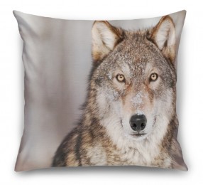 3D Подушка «Взгляд волка»