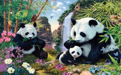 3D Фотообои «Семейство панд» 3D Фотообои