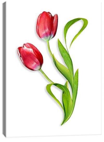 5D картина «Объемные тюльпаны. Арт 1»