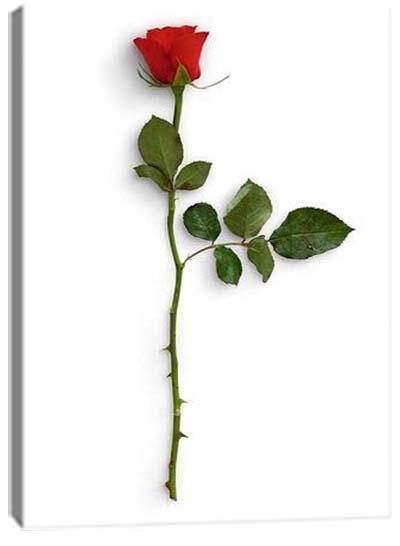 5D картина «Красные розы. Арт 1»