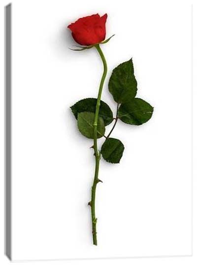 5D картина «Красные розы. Арт 2»