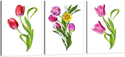 5D картина «Объемные тюльпаны»