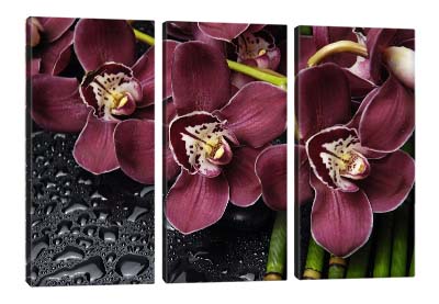 5D картина «Орхидеи»
