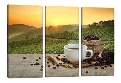 5D картина  «Кофейные плантации» 