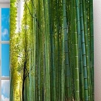 Фотошторы «Дорога через бамбук»