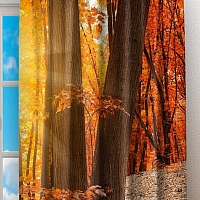 Фотошторы «Осенний лес»