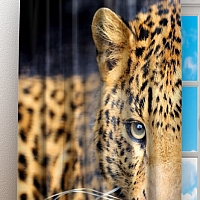 Фотошторы «Красивый леопард»
