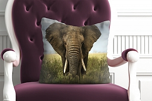 3D Подушка «Слон» вид 6