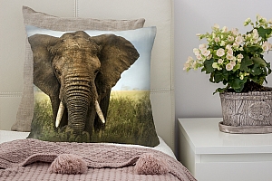 3D Подушка «Слон» вид 3