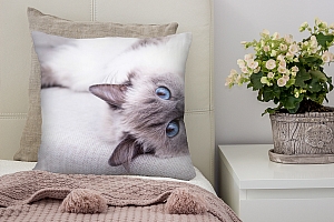 3D Подушка «Голубоглазая кошка» вид 8