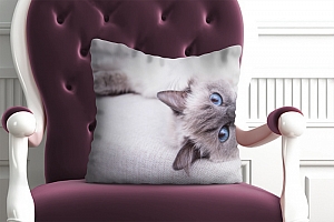 3D Подушка «Голубоглазая кошка» вид 6