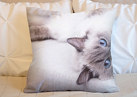3D Подушка «Голубоглазая кошка» вид 4