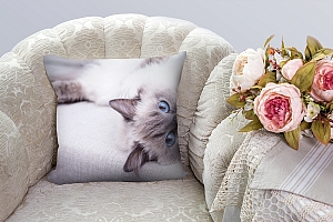 3D Подушка «Голубоглазая кошка» вид 2