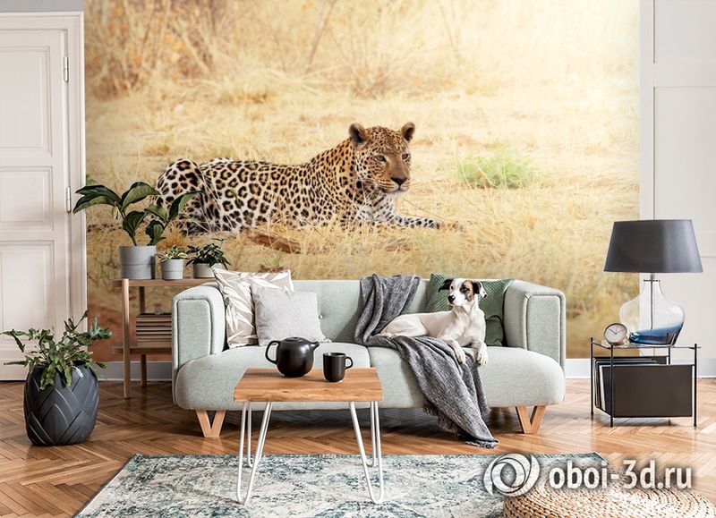 3D Фотообои «Леопард» вид 6