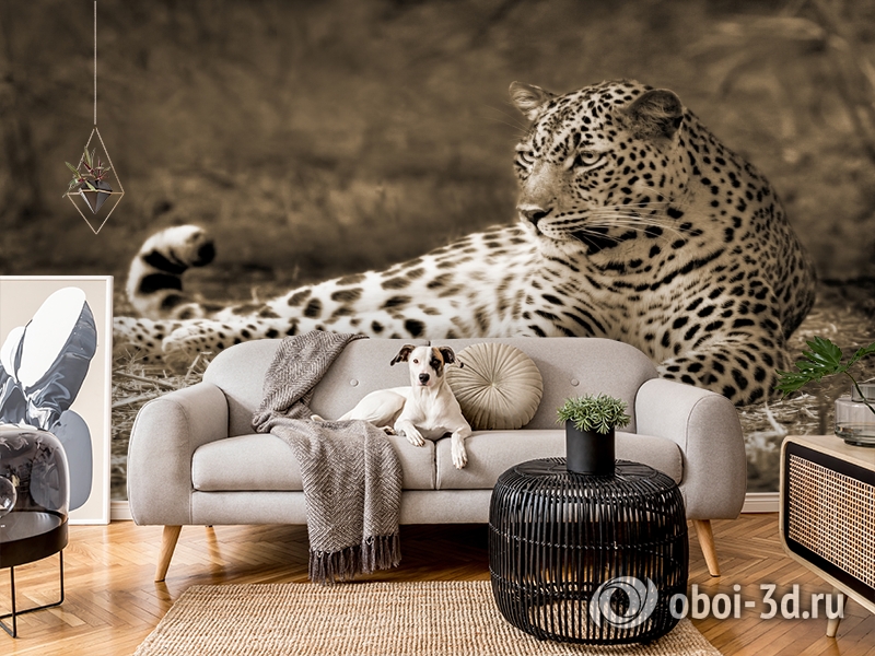 3D Фотообои «Леопард сепия» вид 4