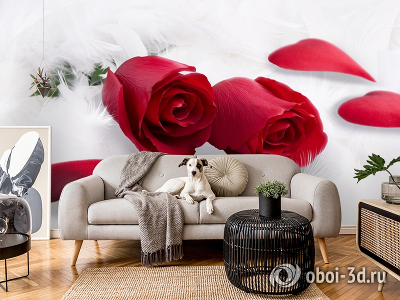 3D Фотообои  «Красные розы в перьях»  вид 5