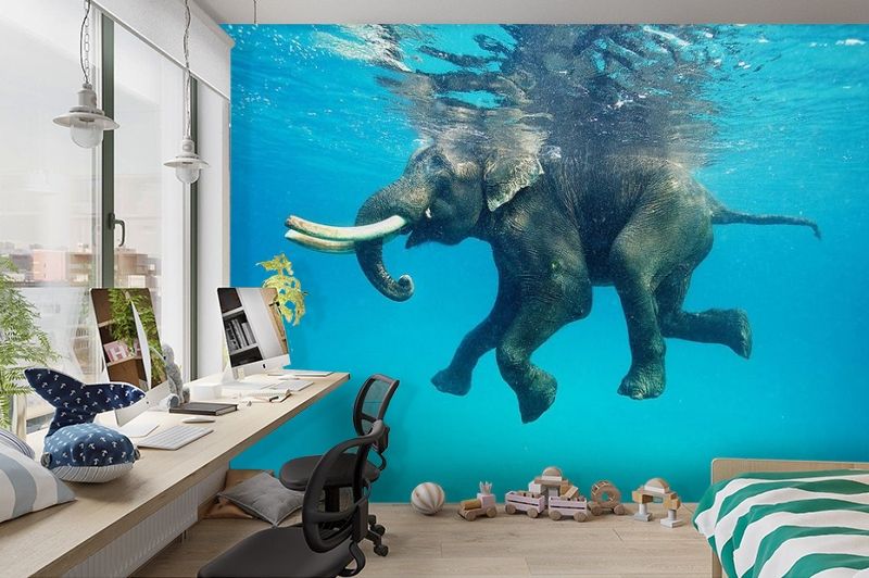 3D Фотообои «Купающийся слон» вид 3
