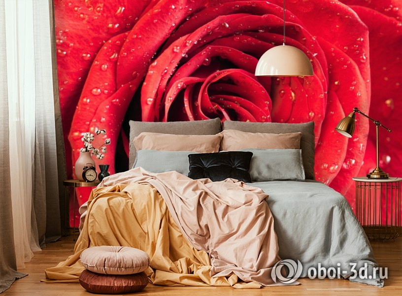 3D Фотообои «Красная роза» вид 6