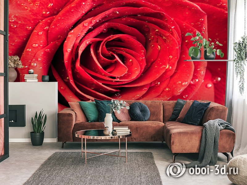 3D Фотообои «Красная роза» вид 3
