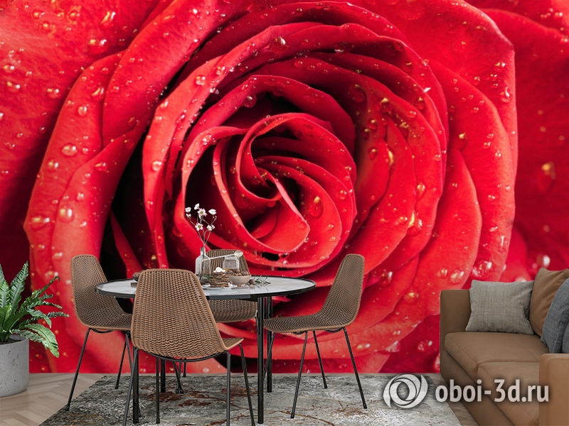 3D Фотообои «Красная роза» вид 2