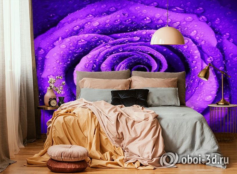 3D Фотообои «Фиолетовая роза с каплями» вид 6