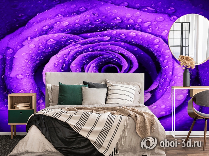 3D Фотообои «Фиолетовая роза с каплями» вид 4