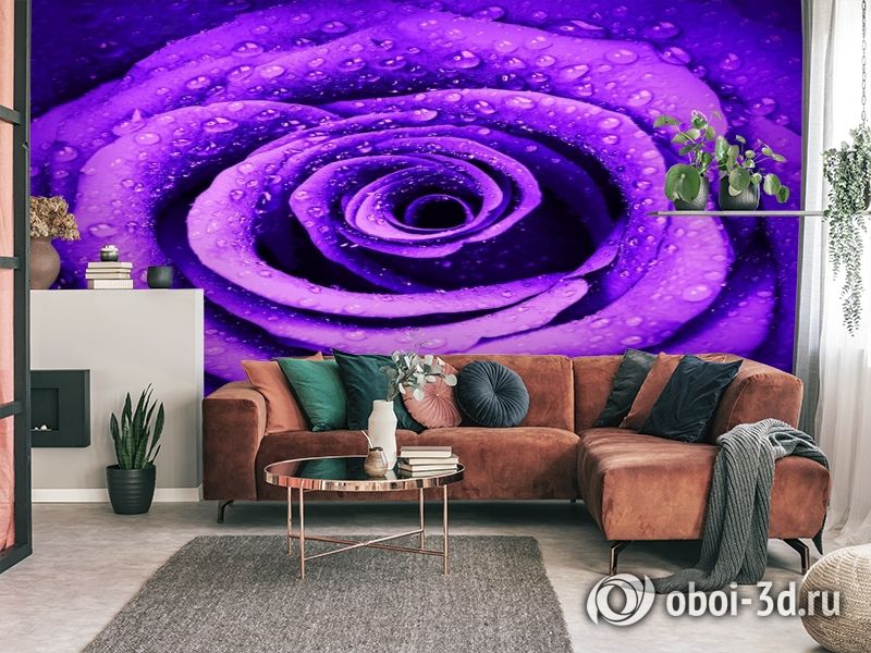 3D Фотообои «Фиолетовая роза с каплями» вид 3