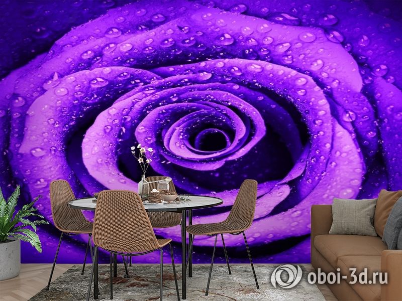 3D Фотообои «Фиолетовая роза с каплями» вид 2