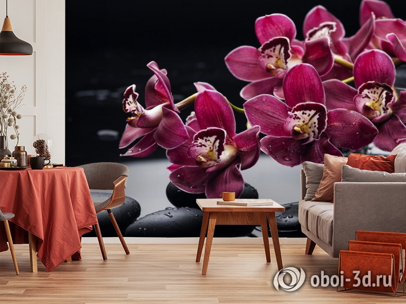  3D Фотообои «Бордовые орхидеи» вид 5
