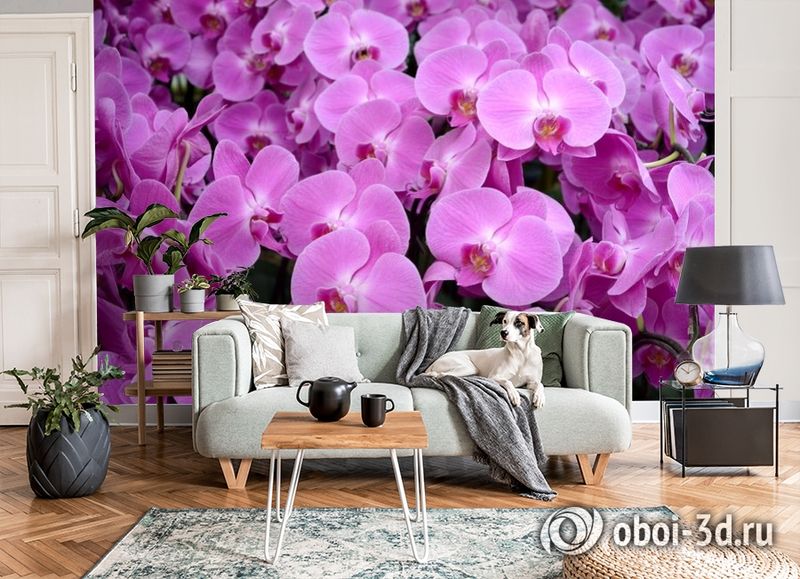 3D Фотообои «Ковер из орхидей» вид 8