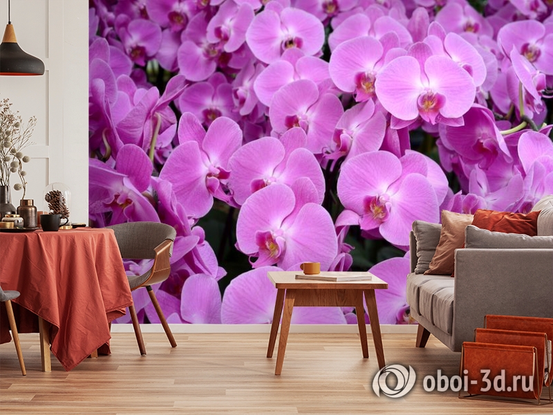 3D Фотообои «Ковер из орхидей» вид 5