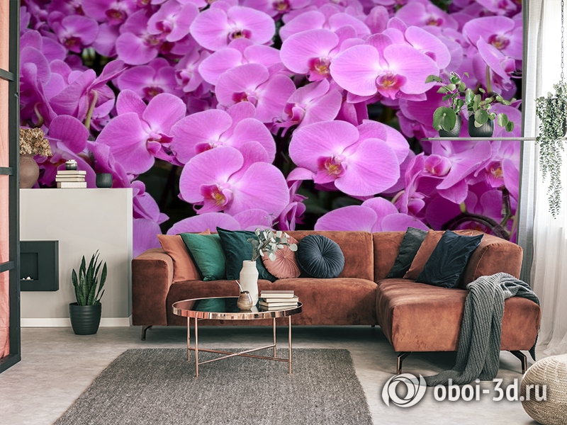 3D Фотообои «Ковер из орхидей» вид 3