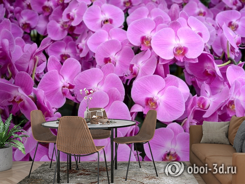 3D Фотообои «Ковер из орхидей» вид 2