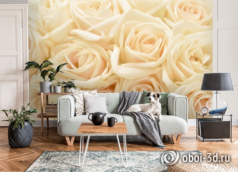 3D Фотообои «Ковер из бежевых роз» вид 8