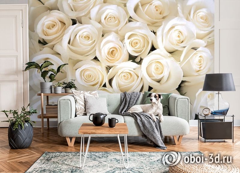 3D Фотообои «Нежные белые розы» вид 8